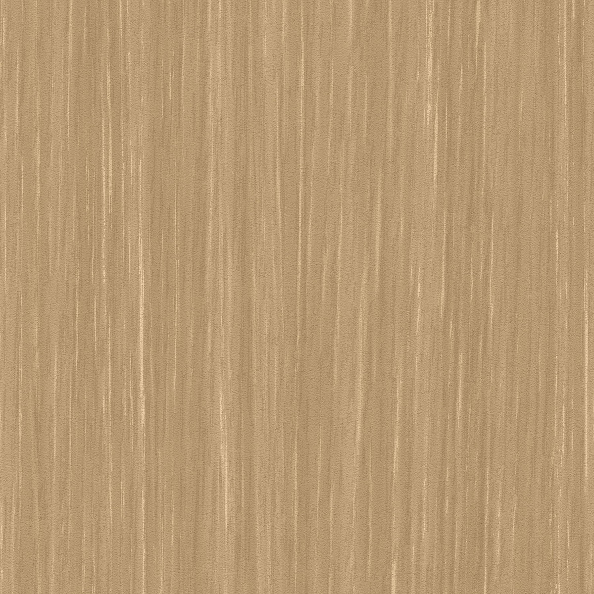 Sherwood - Y47969 - Wallcovering - Vycon - Kube Contract