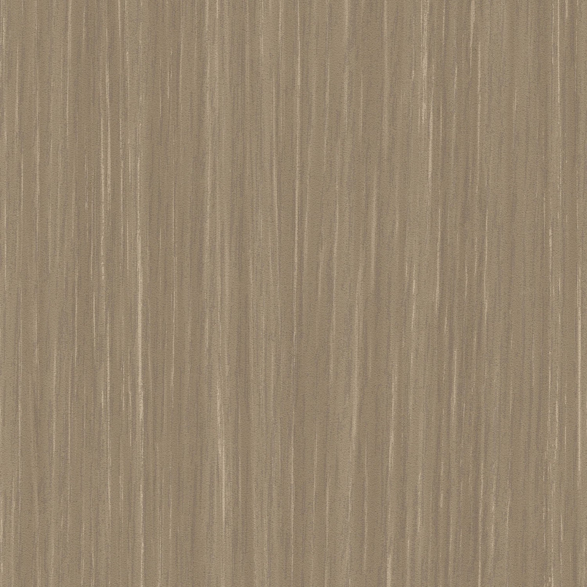 Sherwood - Y47970 - Wallcovering - Vycon - Kube Contract