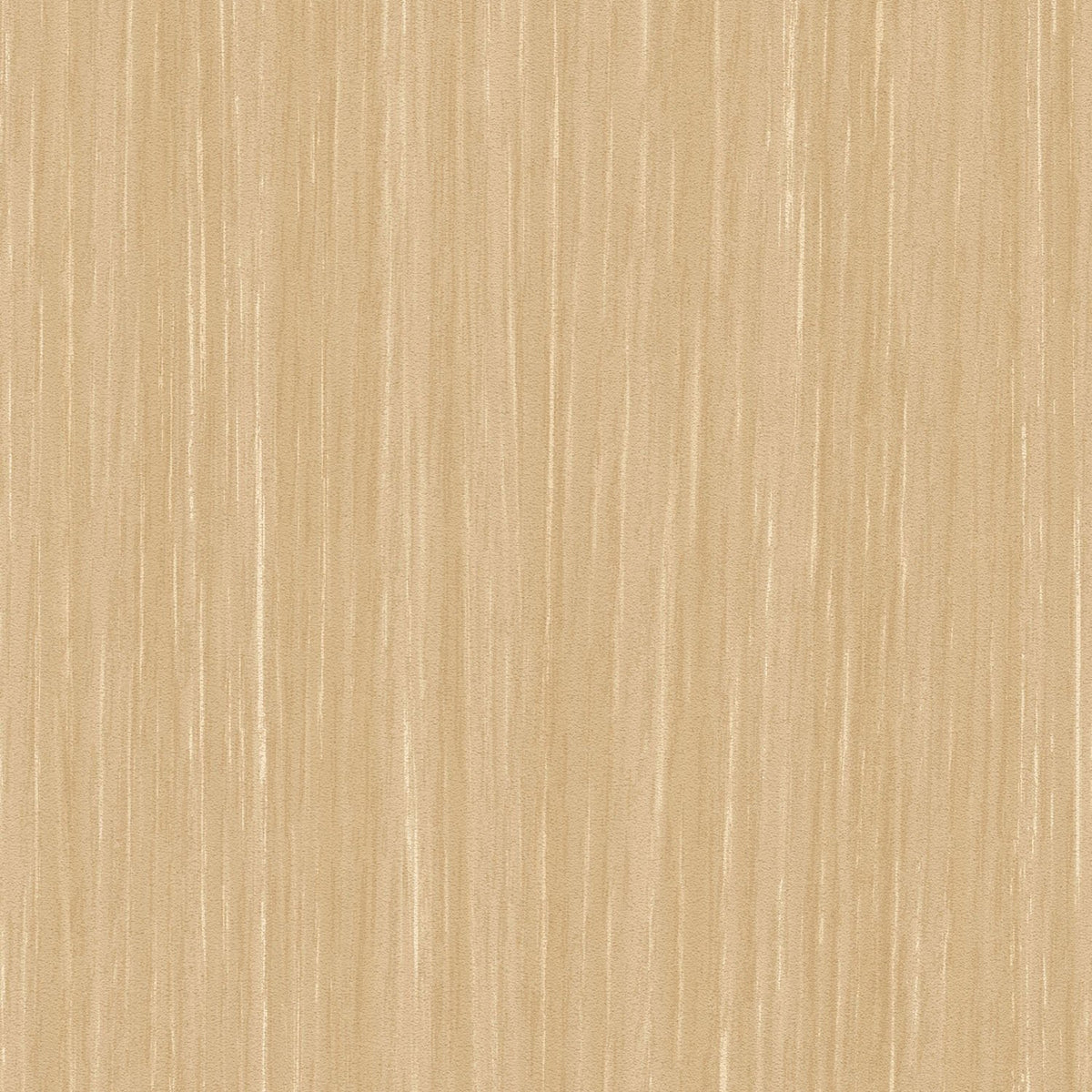 Sherwood - Y47972 - Wallcovering - Vycon - Kube Contract