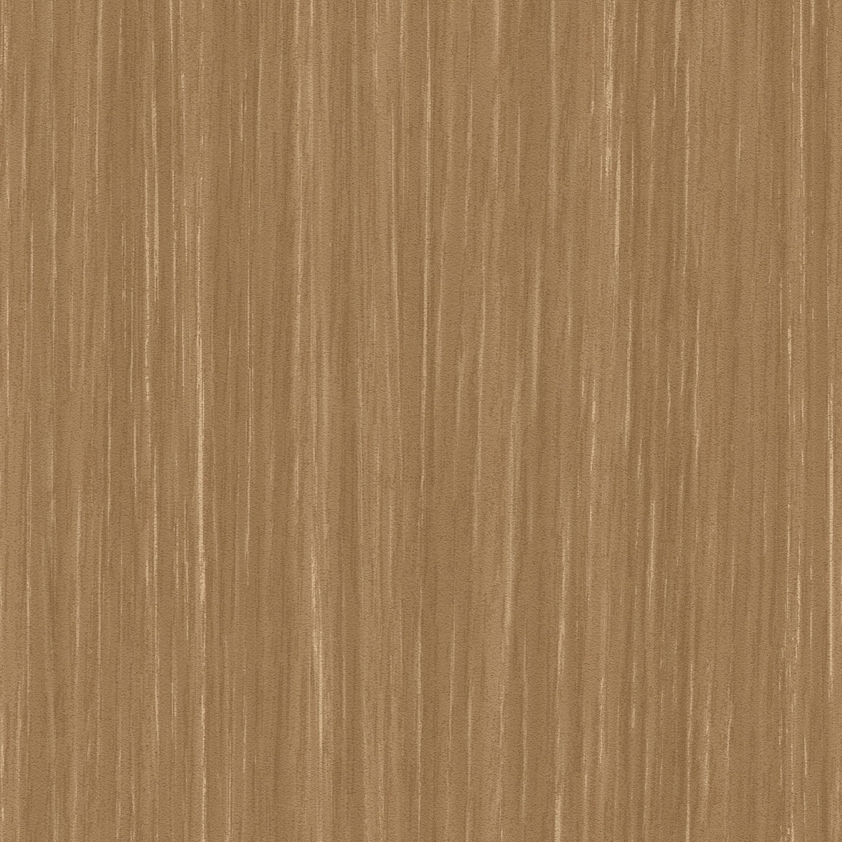 Sherwood - Y47973 - Wallcovering - Vycon - Kube Contract