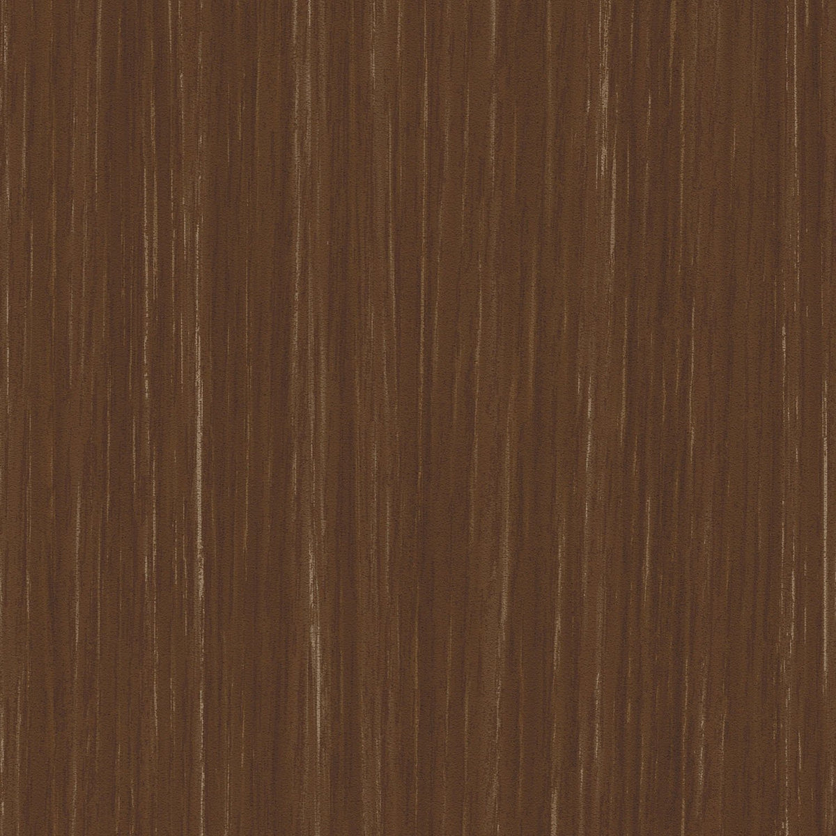Sherwood - Y47975 - Wallcovering - Vycon - Kube Contract