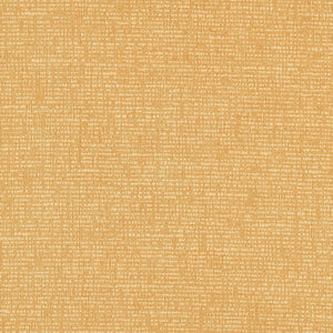 Spectrum - Y46921 - Wallcovering - Vycon - Kube Contract