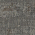 AZ53537