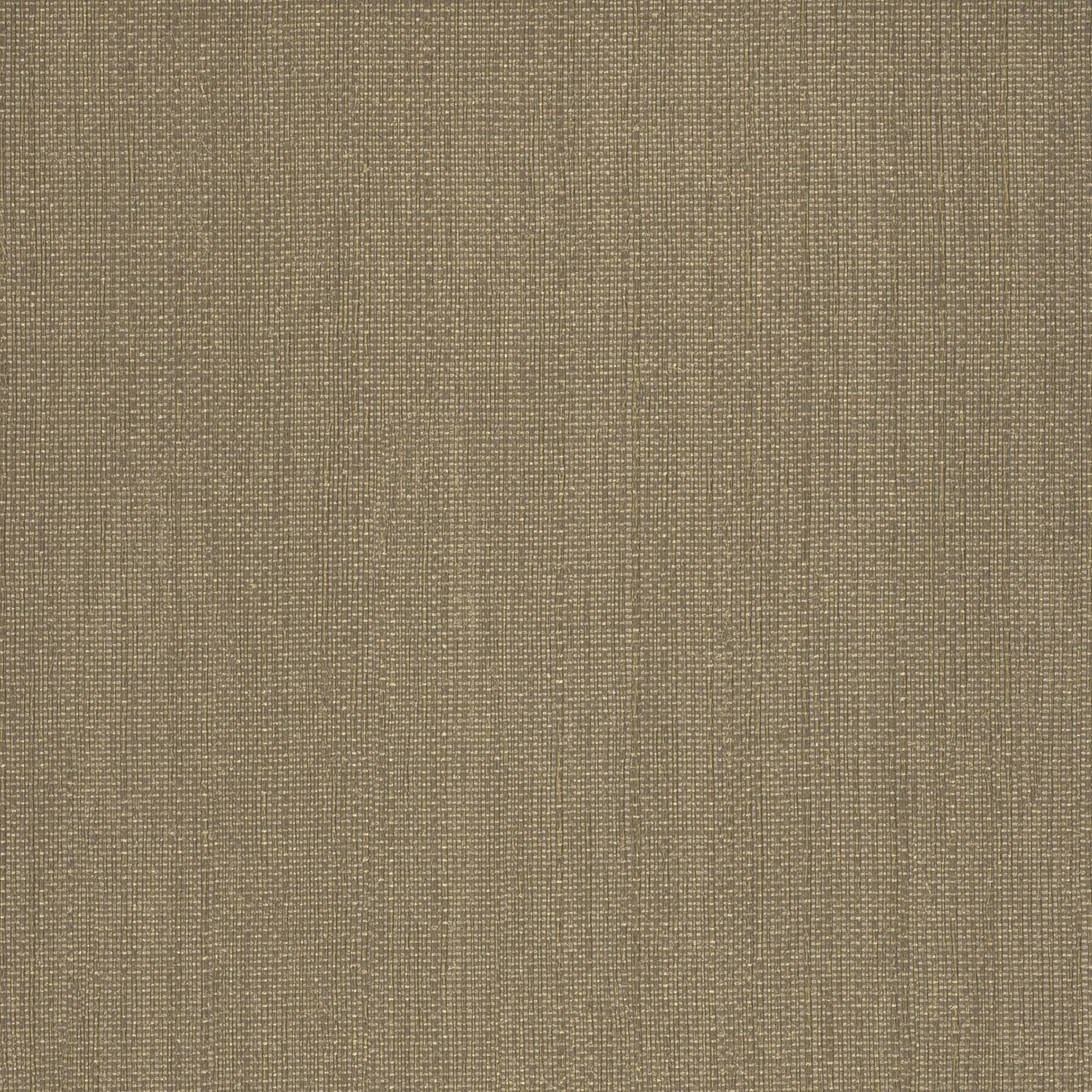 Theory - Y46444 - Wallcovering - Vycon - Kube Contract