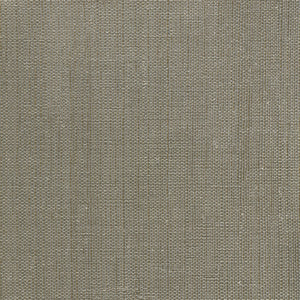 Theory - Y47372 - Wallcovering - Vycon - Kube Contract