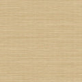  T2-AG-12