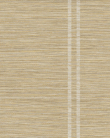 Y48120