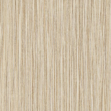 T2-ZG-21