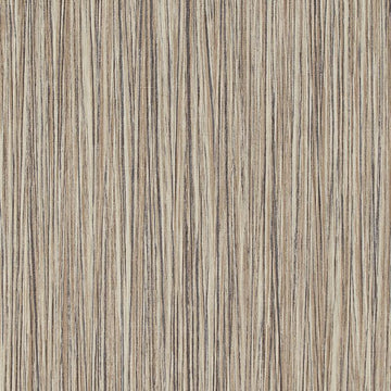 T2-ZG-24